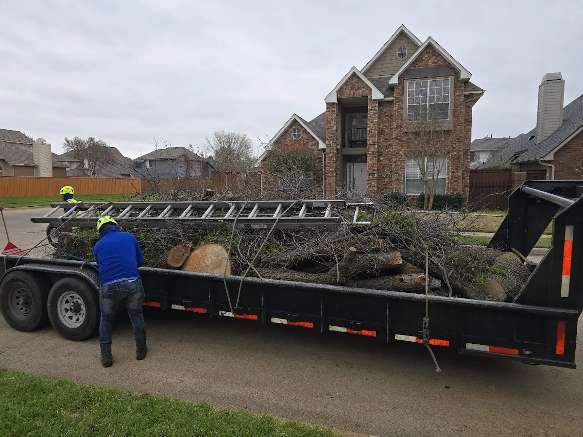 Expert Lot Clearing with proper safety equipment in Cumbola